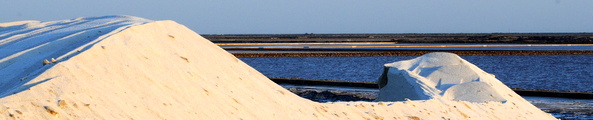 Salin-de-Giraud Photo P. Mercier / Ville d'Arles