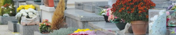 Cimetieres jours de la Toussaints ChrysenthemesTombes 9 Collines