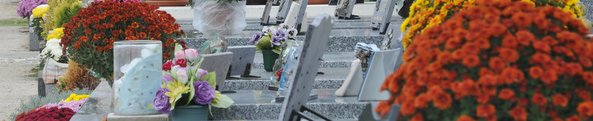 Cimetieres jours de la Toussaints ChrysenthemesTombes 9 Collines