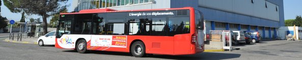 Réseau de bus Envia